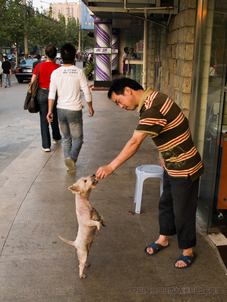 Hundeliebe in Shanghai 2007